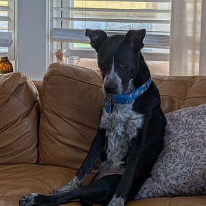 Fundraising Page: Kristopher Hallene